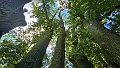 Tour zum Koenigsgrab bei Seddin-12