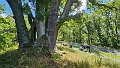 Tour zum Koenigsgrab bei Seddin-14