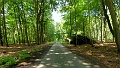 Tour zum Koenigsgrab bei Seddin-18