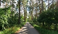 Tour zum Koenigsgrab bei Seddin-35