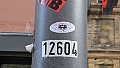 Wooolsain-Baardi-38