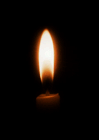ein Licht fr Bea