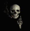 Skull-2