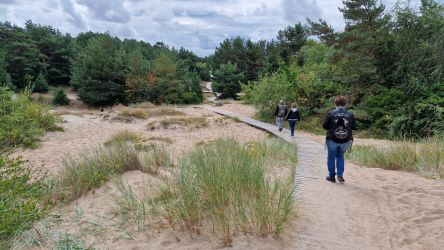 in den Dnen