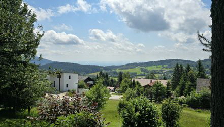 im Bayrischen Wald