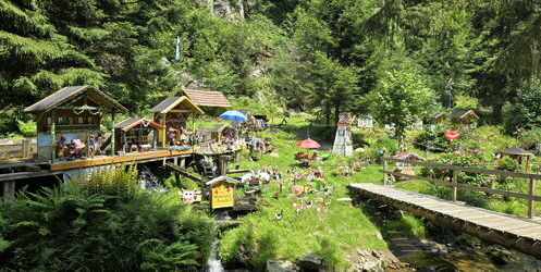 im Bayrischen Wald