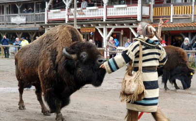 in Pullman City mit Bisons ...