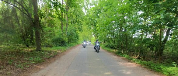 zur�ck ins Havelland