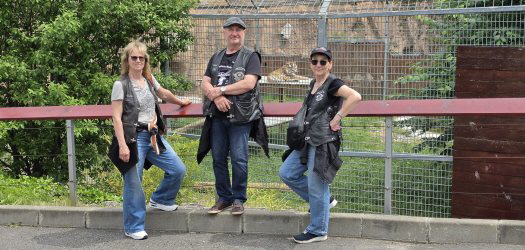 im Zoo von Brasov