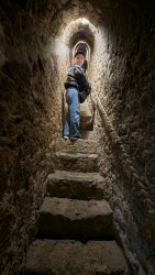 zu Besuch beim Grafen Dracul