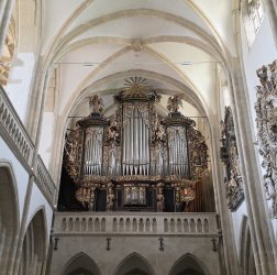 der Dom