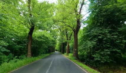 von Tschechien nach Oschatz
