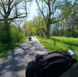 auf dem Weg nach Neuglobsow am Stechlinsee