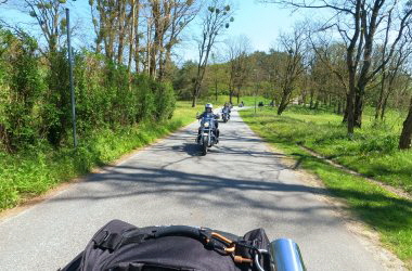 auf dem Weg nach Neuglobsow am Stechlinsee