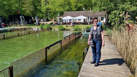 beim Fischer am Stechlinsee