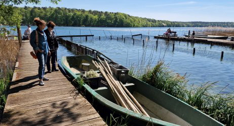 beim Fischer am Stechlinsee