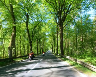 am Freitag Tour ins Feldberger Land