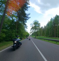 zur�ck in den Park