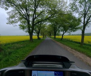 Samstagtour, zun�chst ins Schliemann-Museum nach Ankershagen