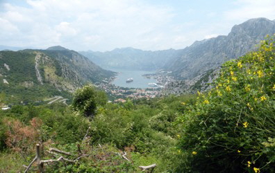 Kotor von oben