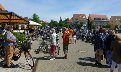 in Waren (Mritz)