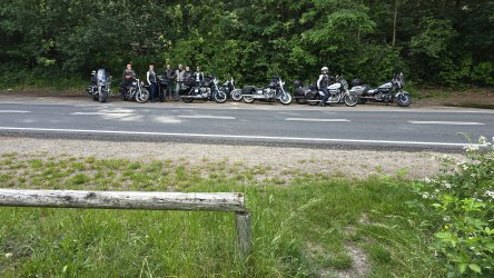 direkt am Ufer des Werbellinsees