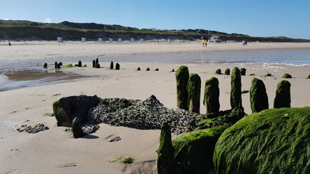 Elke macht tolle Fotos