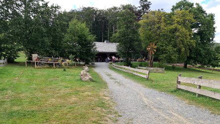 auf der Steinberg Alm